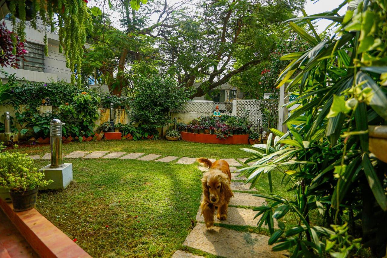 Terrace Gardens Bed & Breakfast Bangalore Eksteriør bilde